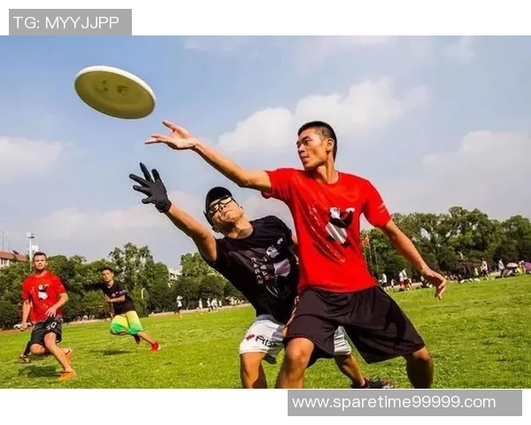 南京飞盘队个人能力深度解析与发展潜力探讨